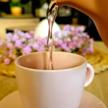 Dwa Jelonki - Balia Z Jacuzzi I Sauna Wisla