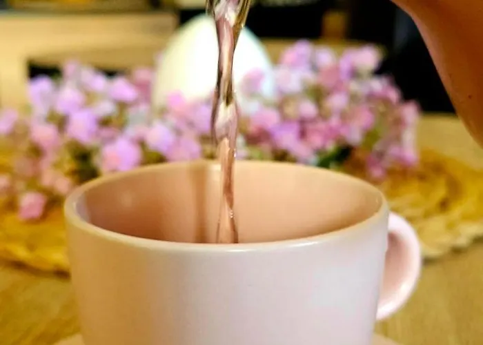 Dwa Jelonki - Balia Z Jacuzzi I Sauna Visla