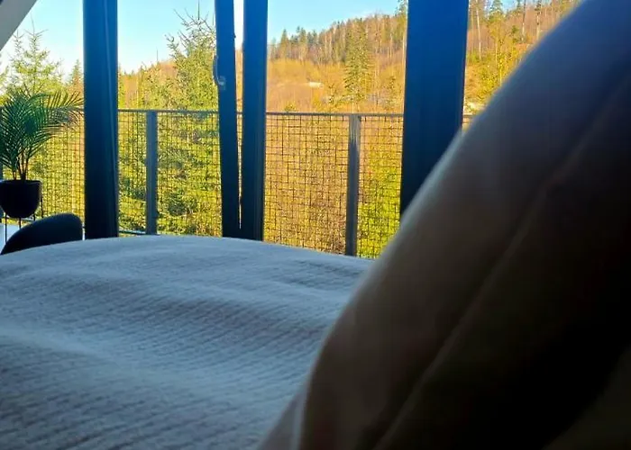 Dwa Jelonki - Balia Z Jacuzzi I Sauna * Visla